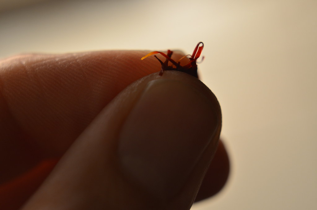 Mongra Saffron 2g
